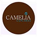Camelia Cupcakes